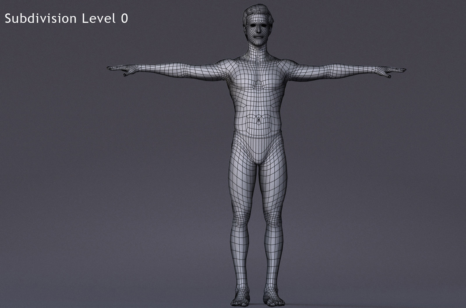 Male Full Body Rig Low-poly 3D model_15