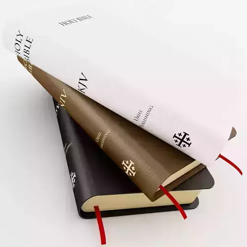 Holy Bible 3D model