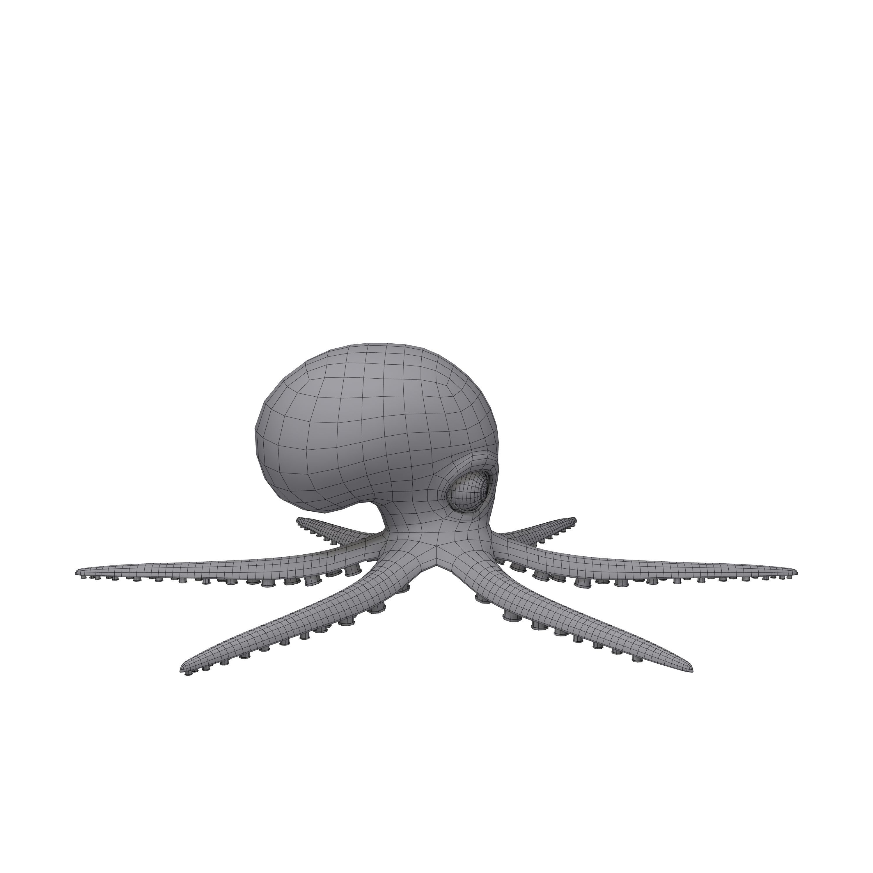 Octopus cartoon 03 3D model_3