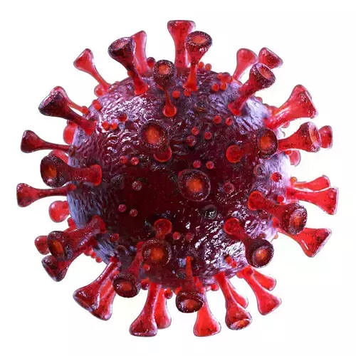 3D Coronavirus SARS-CoV-2 - Red Low-poly 3D model