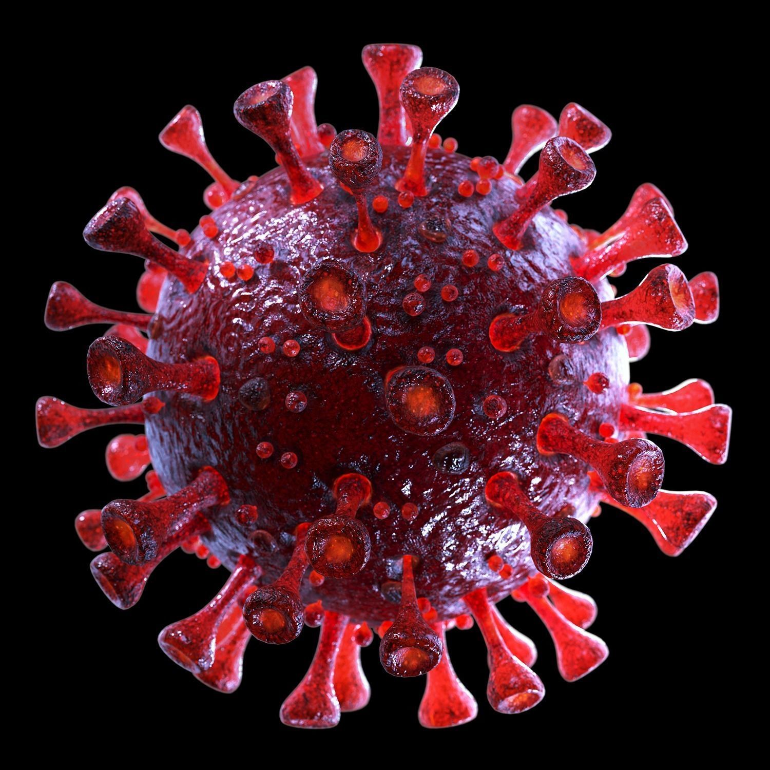 3D Coronavirus SARS-CoV-2 - Red Low-poly 3D model_2
