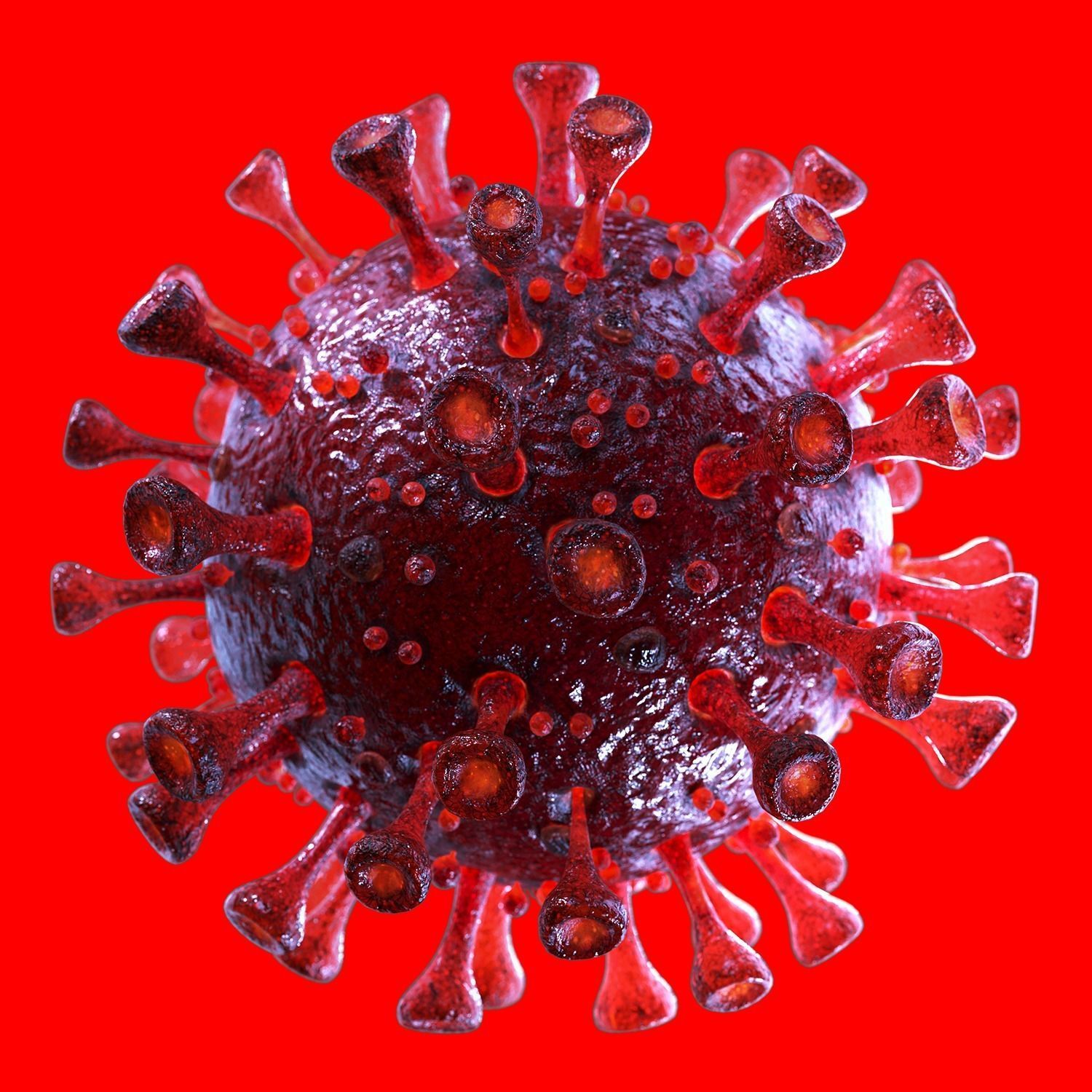 3D Coronavirus SARS-CoV-2 - Red Low-poly 3D model_1
