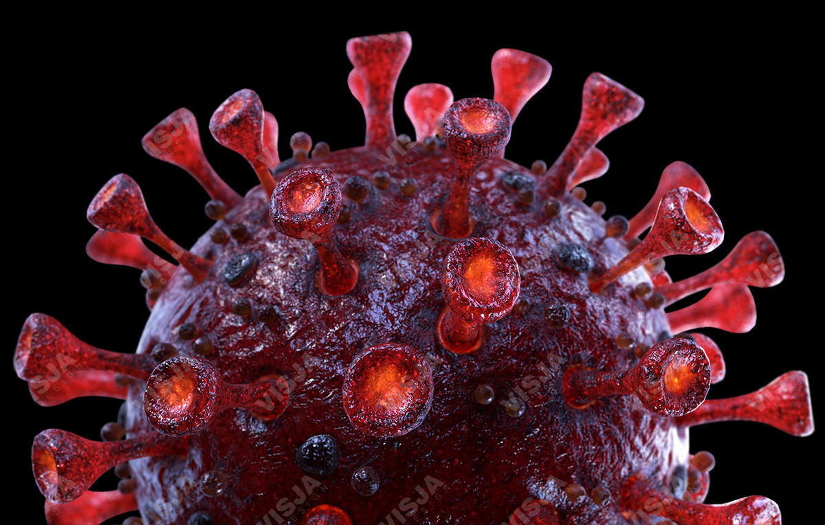 3D Coronavirus SARS-CoV-2 - Red Low-poly 3D model_3