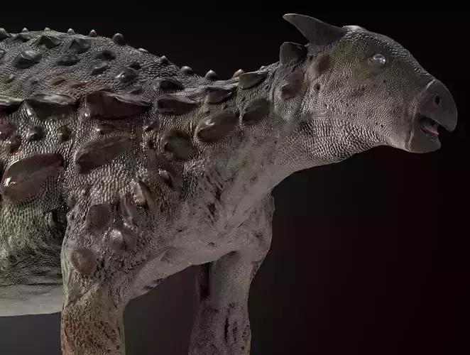 Scelidosaurus dinosaur
