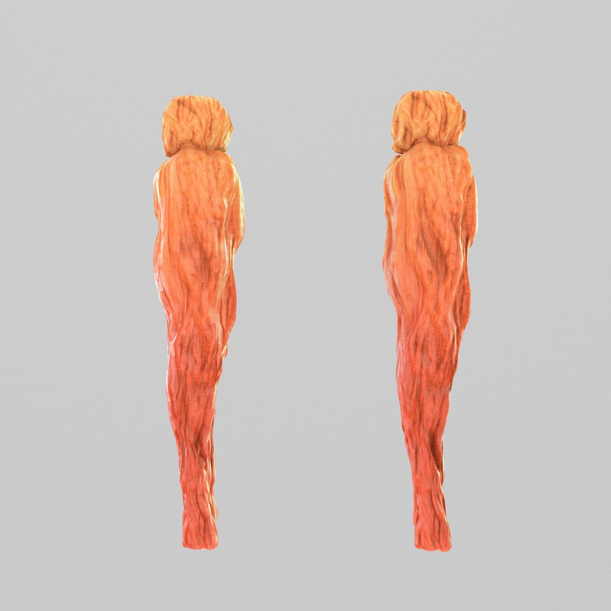 red ginseng Low-poly 3D model_5