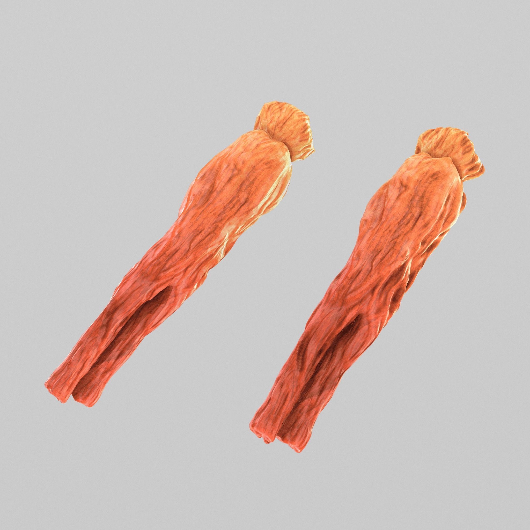 red ginseng Low-poly 3D model_7