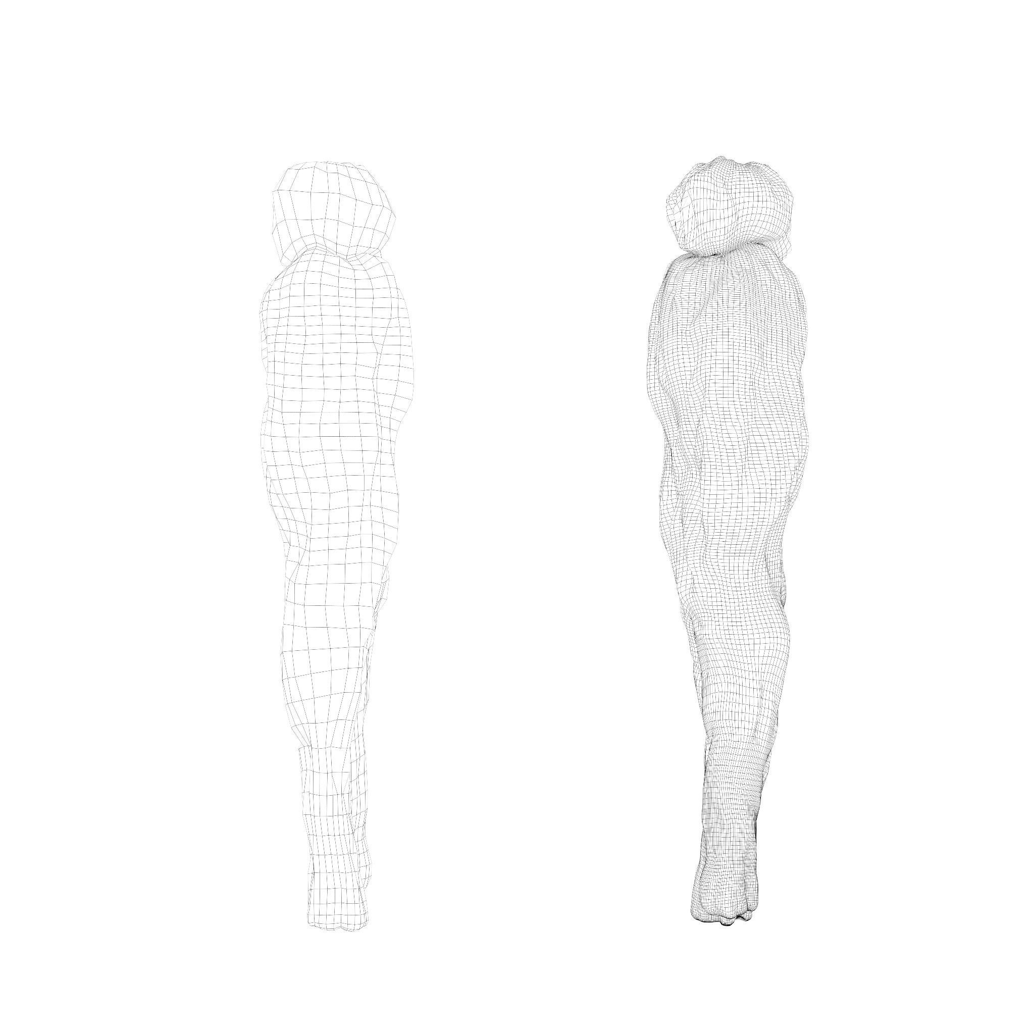 red ginseng Low-poly 3D model_3