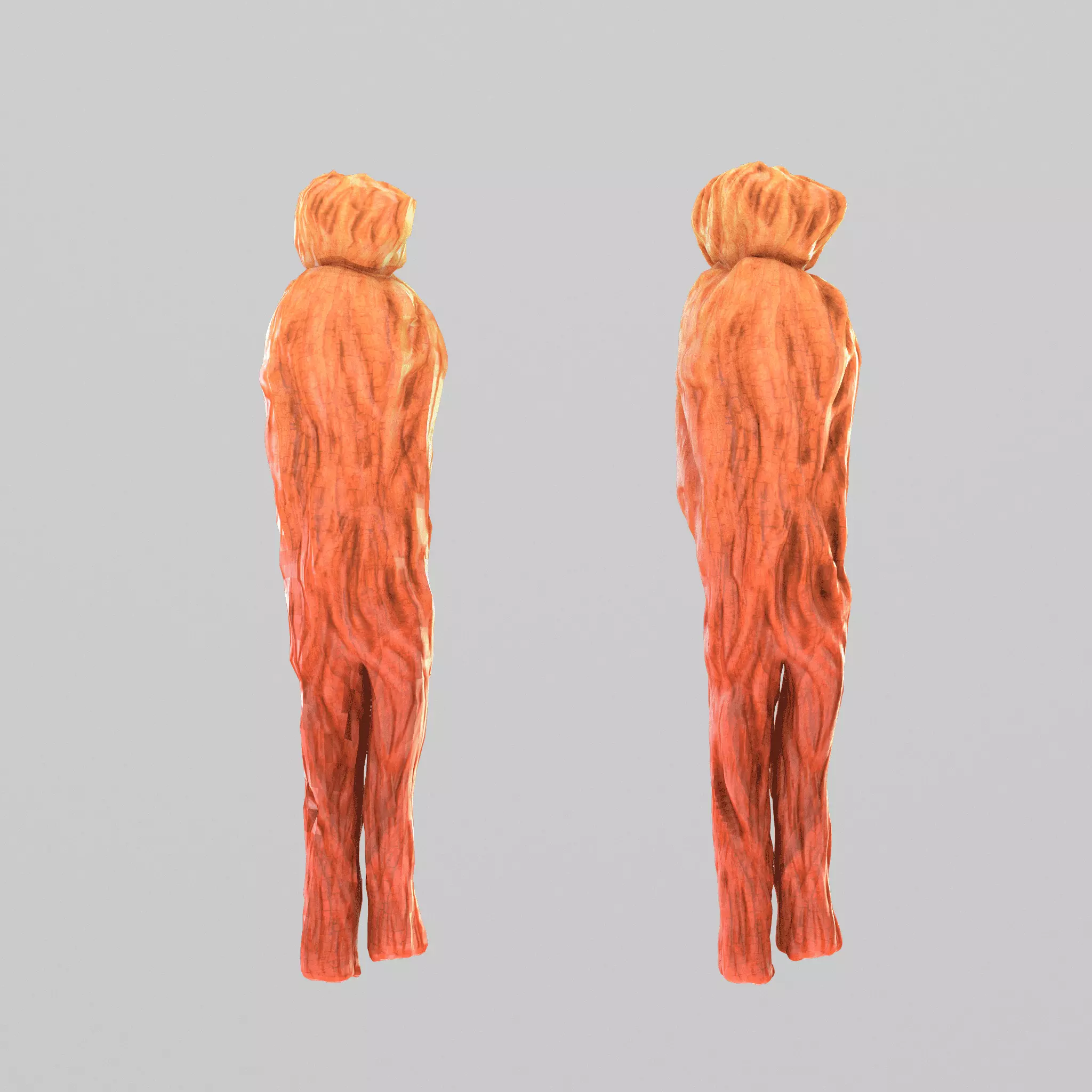 red ginseng Low-poly 3D model_0