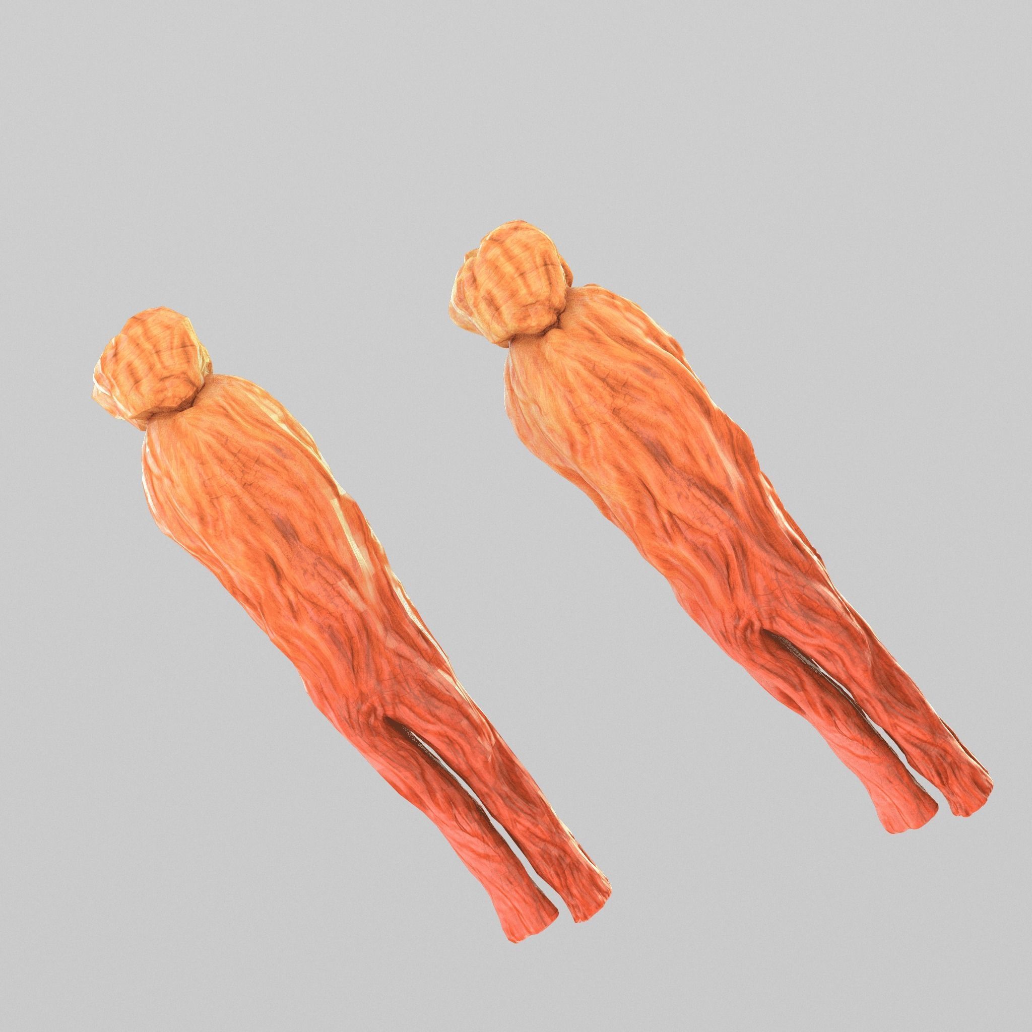 red ginseng Low-poly 3D model_6
