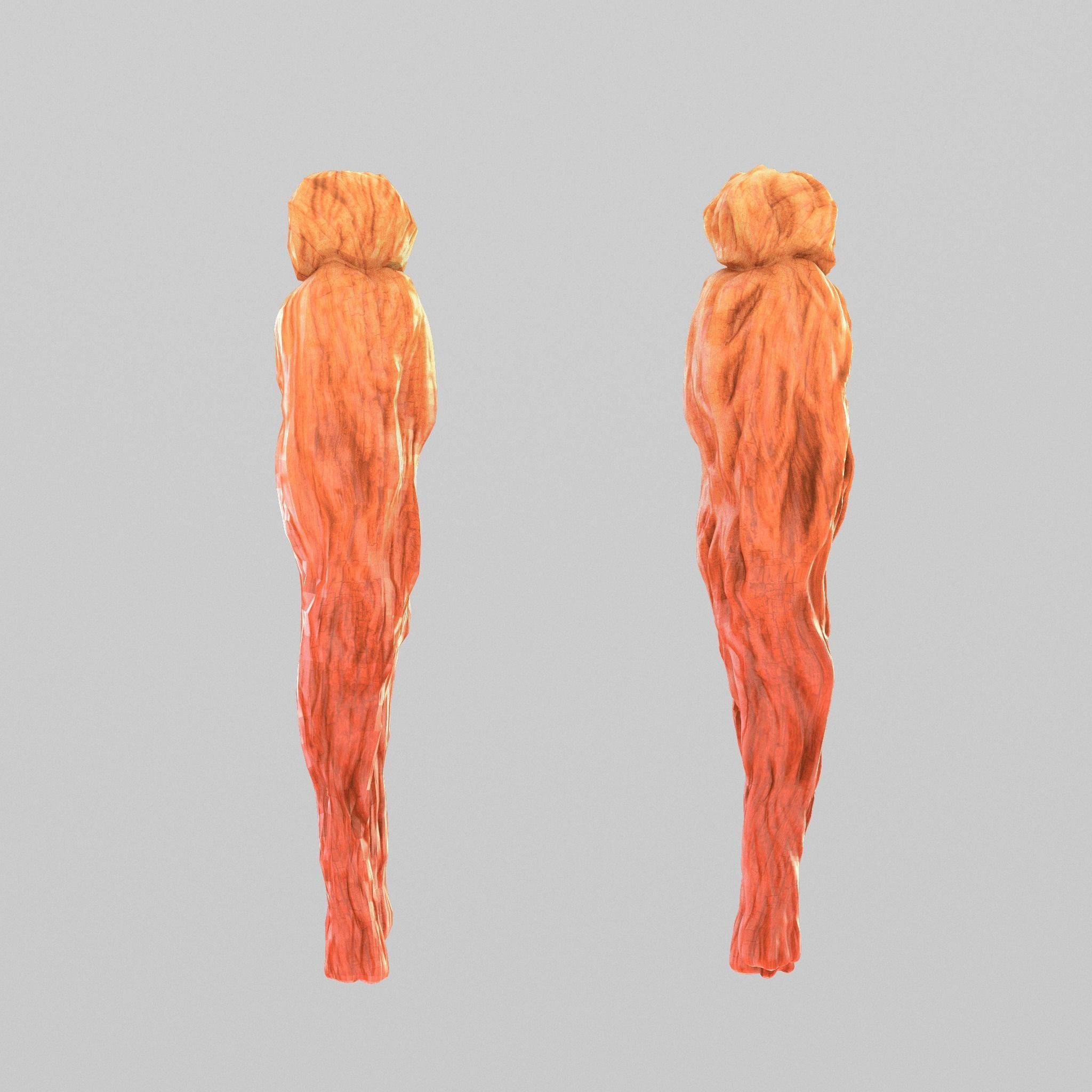 red ginseng Low-poly 3D model_2