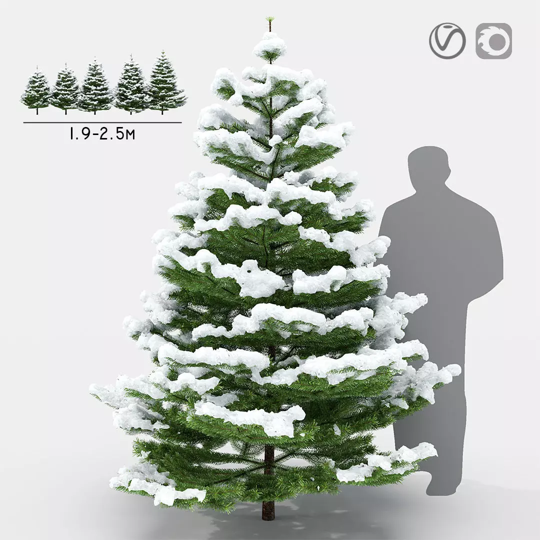 Fir under the snow 3D model_0