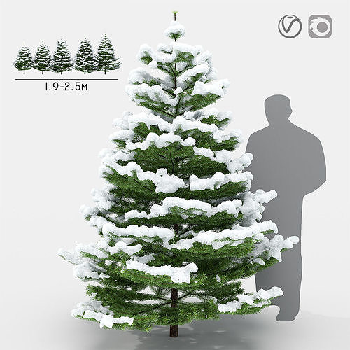 Fir under the snow 3D model