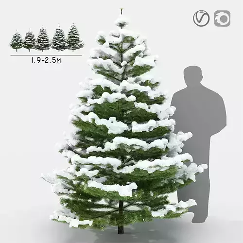 Fir under the snow 3D model