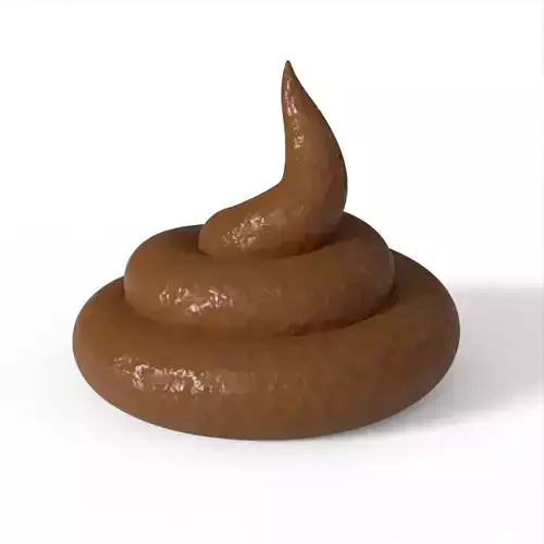 Realistic shit poop