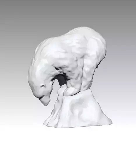 Polar Bear on an ice floe