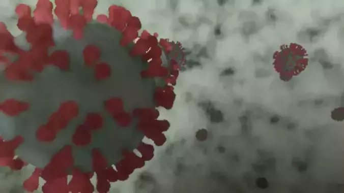 Corona Virus - Covid 19