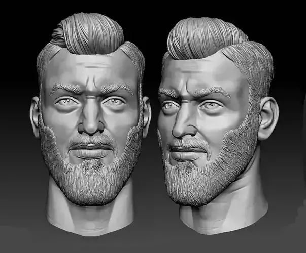 Male head sculpt human hair beard anatomy detailed 