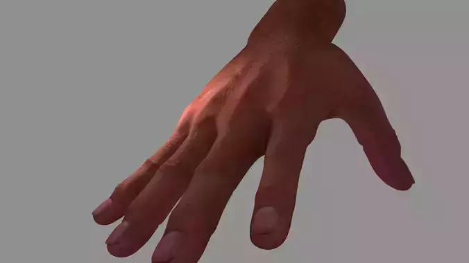 Hand1 hand