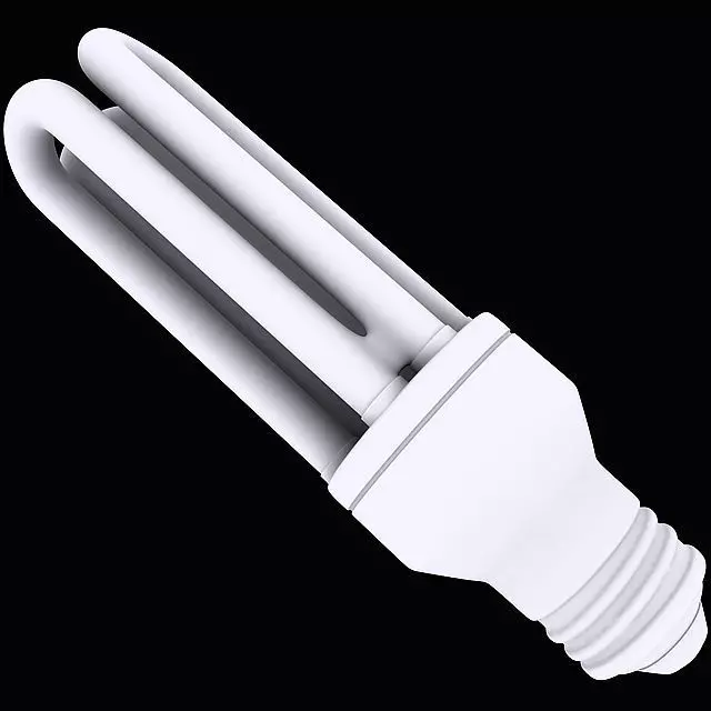 Compact Fluorescent Bulb Style 2 3D model_0