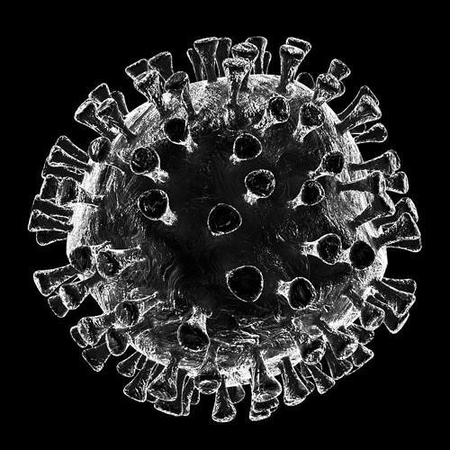 Covid-19 Novel Corona Virus Transmission Cells 3D model