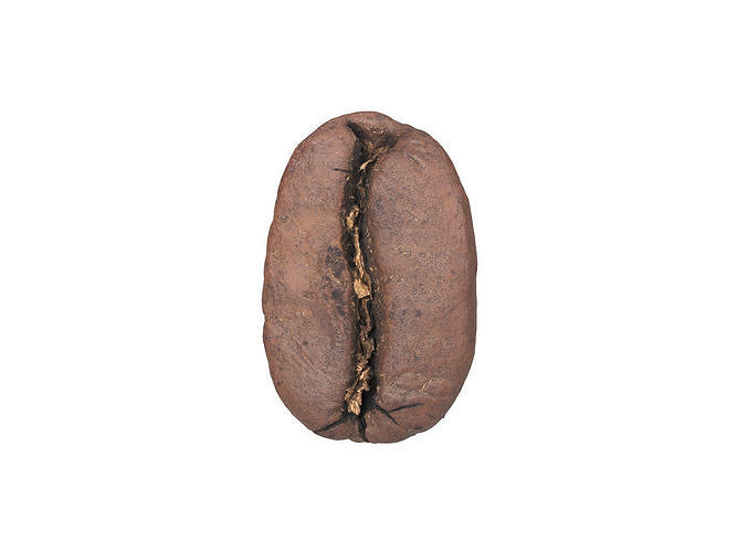 Photorealistic Coffee Bean 3D Scan 3D model