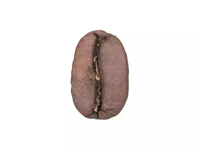 Photorealistic Coffee Bean 3D Scan 3D model