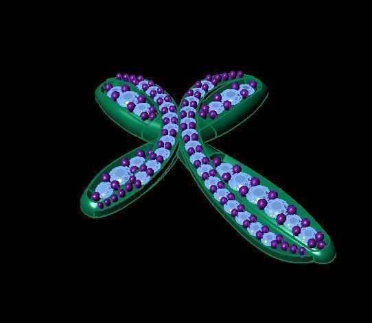 cross pendant 3D print model_1