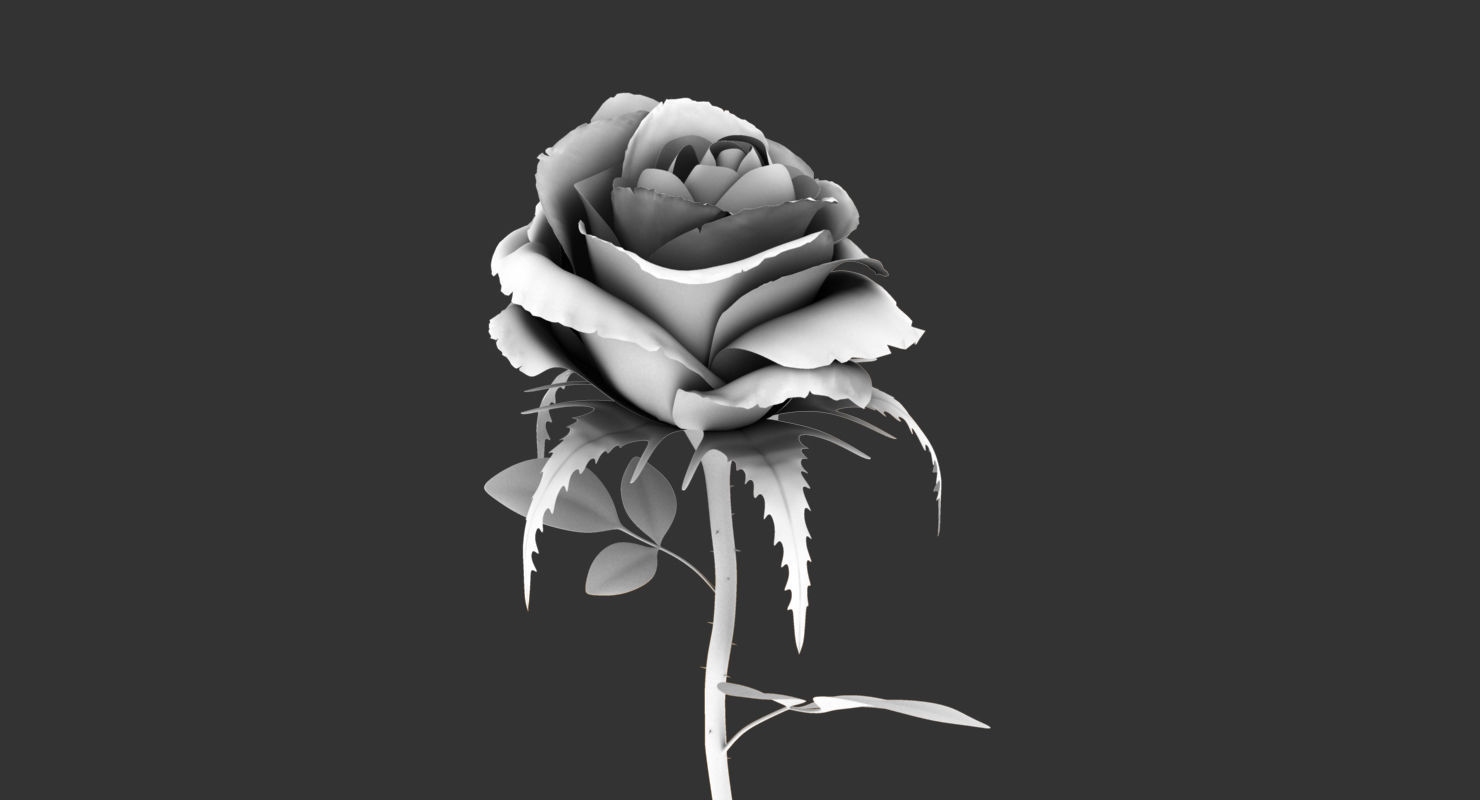 rose 3d model on stem 3D model_1