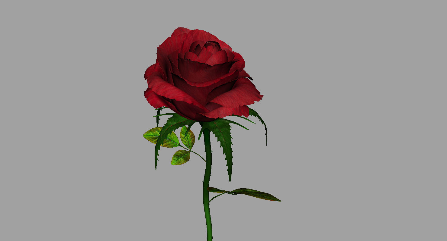 rose 3d model on stem 3D model_7