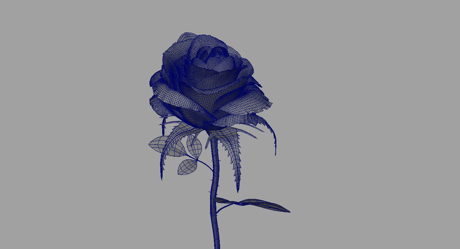 rose 3d model on stem 3D model_5