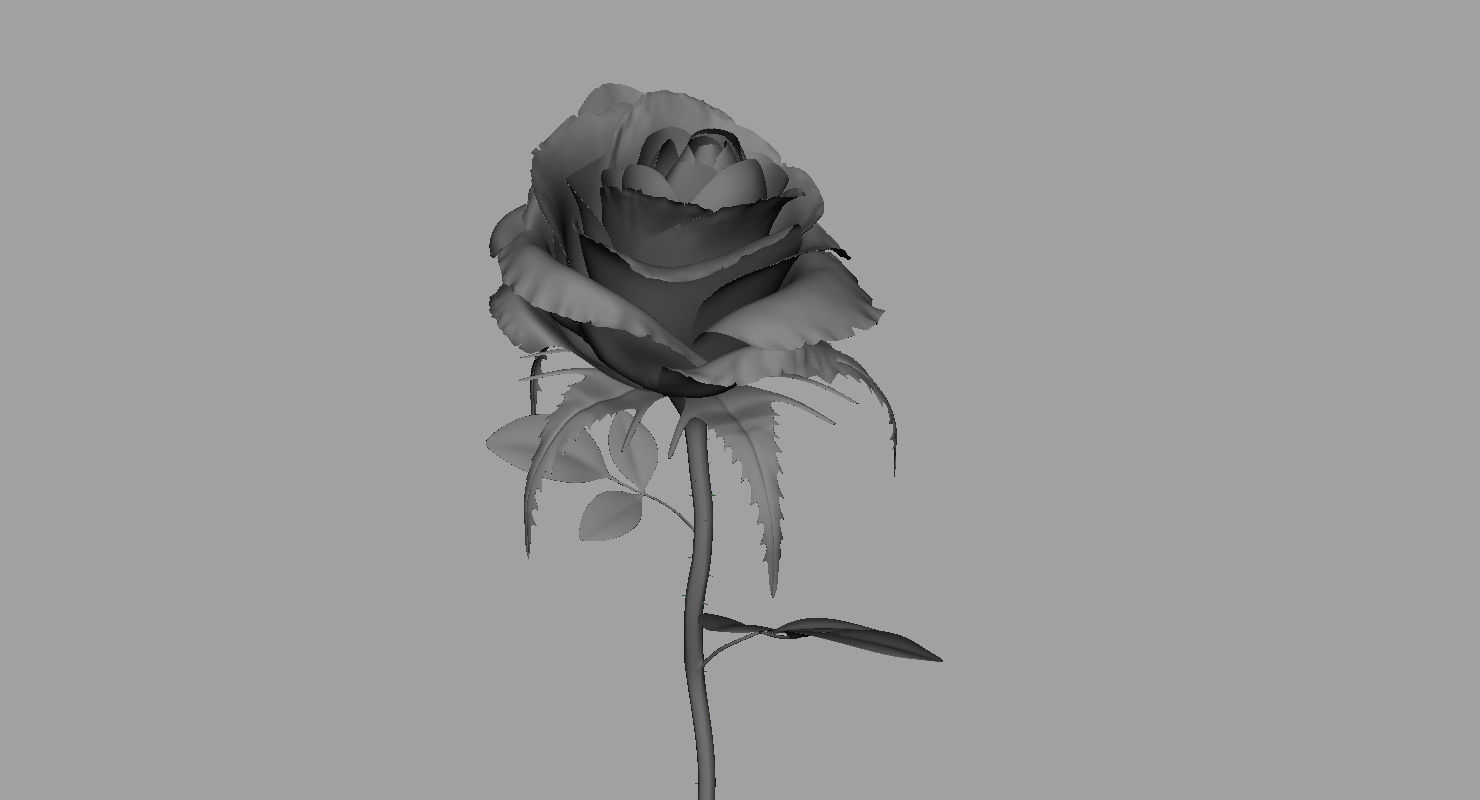 rose 3d model on stem 3D model_4