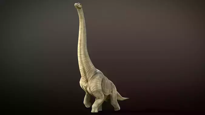 Brachiosaurus Dinosaur Rig and Animations Low-poly 3D model