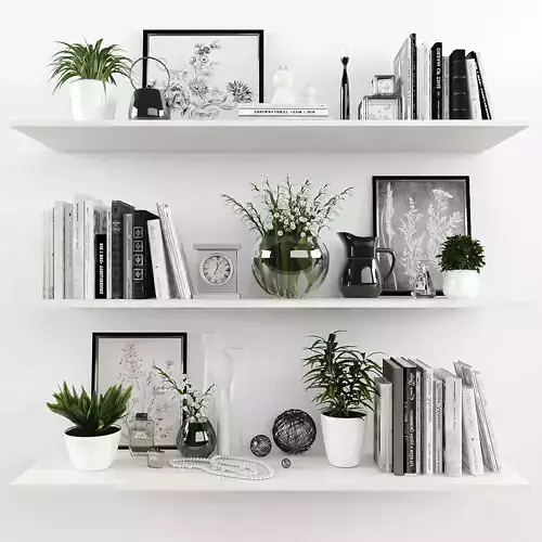 Decorative set shelves with plants and books Low-poly 3D model