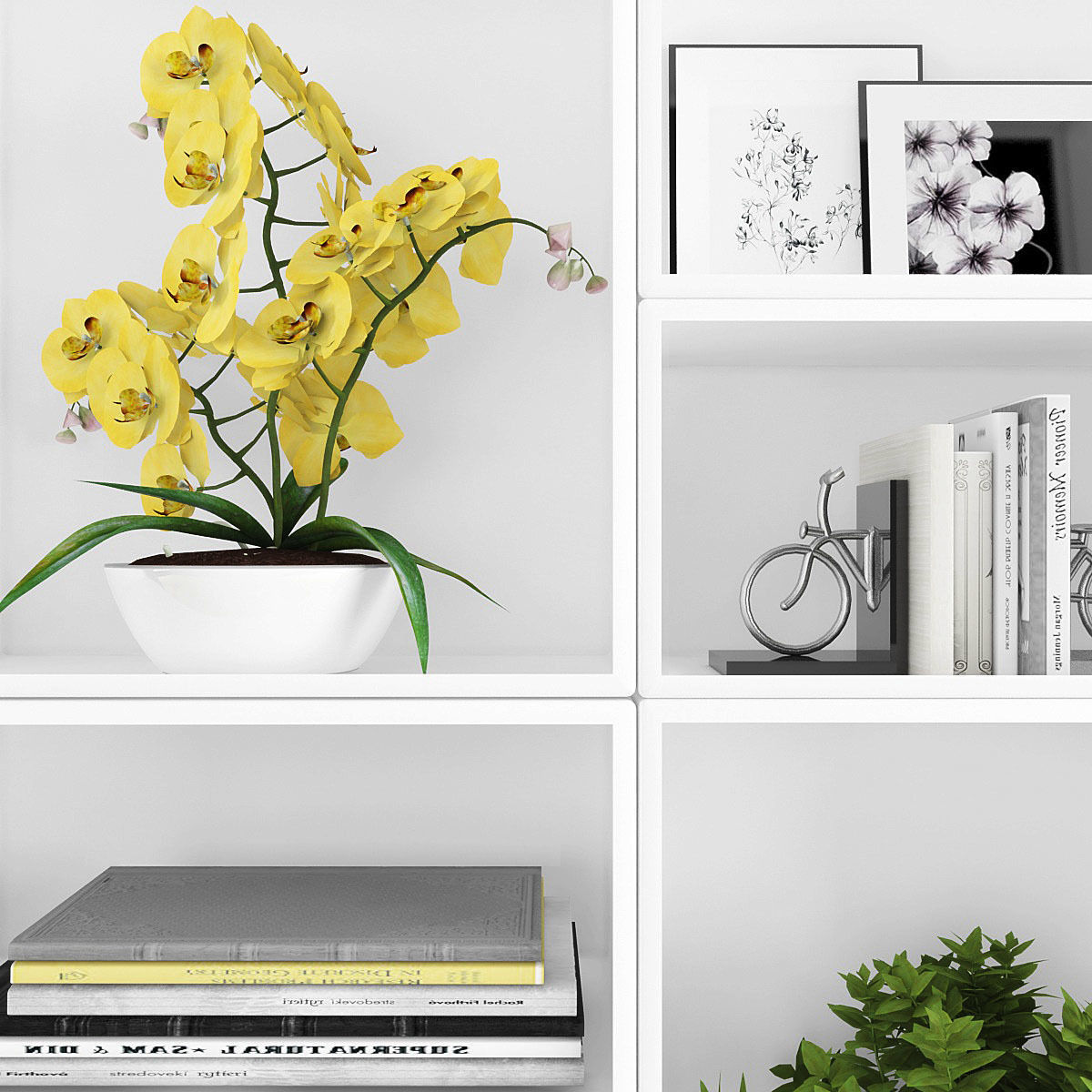 Decorative set bookcase with books and potted plants Low-poly 3D model_1