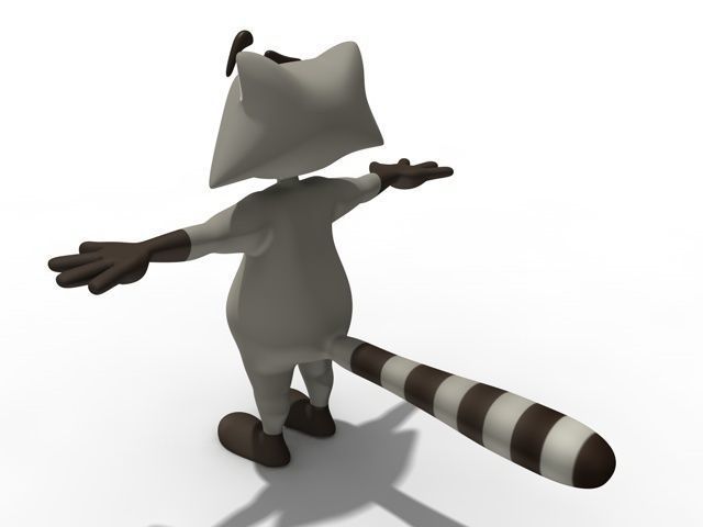 Cartoon rancoon 3D model_2