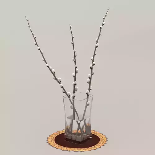 Vase and Willow twigs