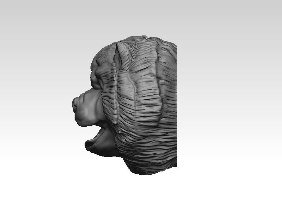 Chow chow  head  pendant 3D print model_16