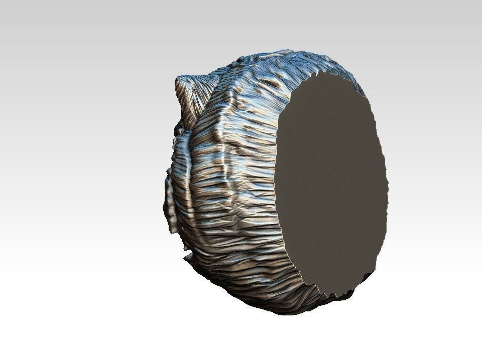 Chow chow  head  pendant 3D print model_20