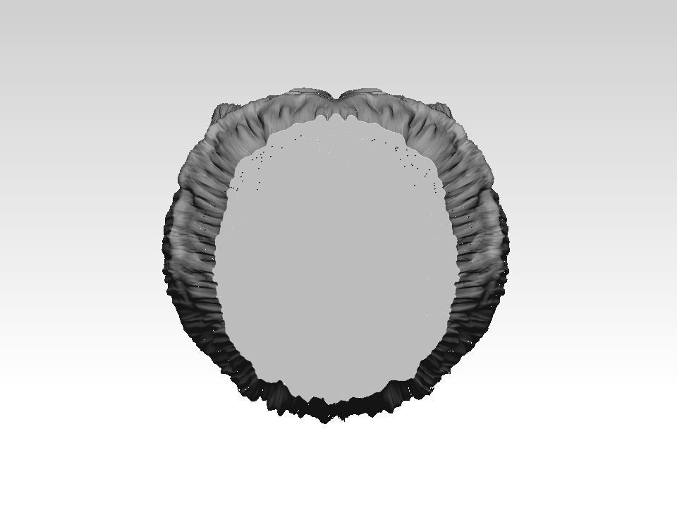 Chow chow  head  pendant 3D print model_17