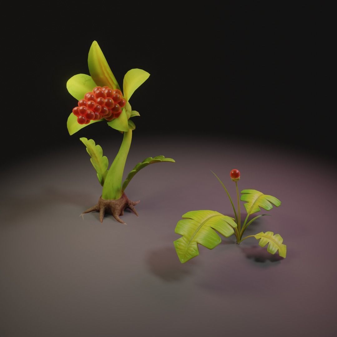 Stylized plants 3D model CGTrader