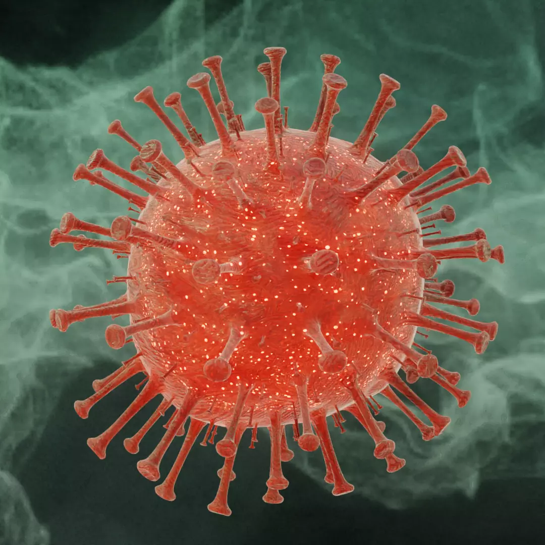 Corona Virus animated COVID-19 PBR 4K texures Low-poly 3D model_0