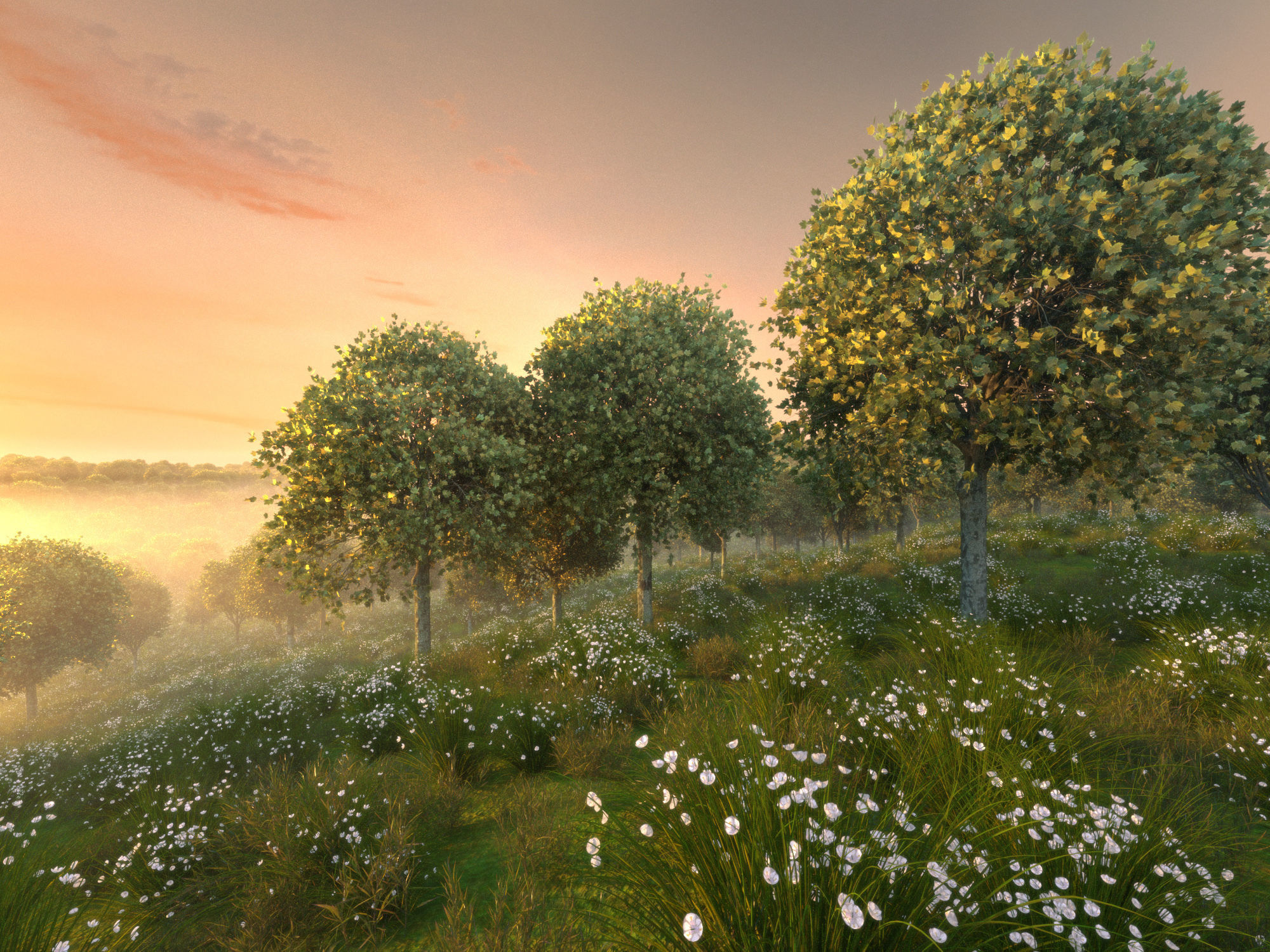 Maple tree autumn acer mature B 3D model_7