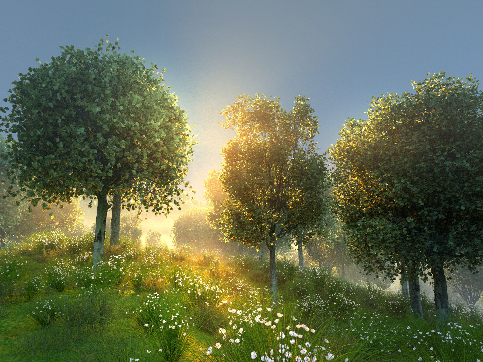 Maple tree autumn acer mature B 3D model_10