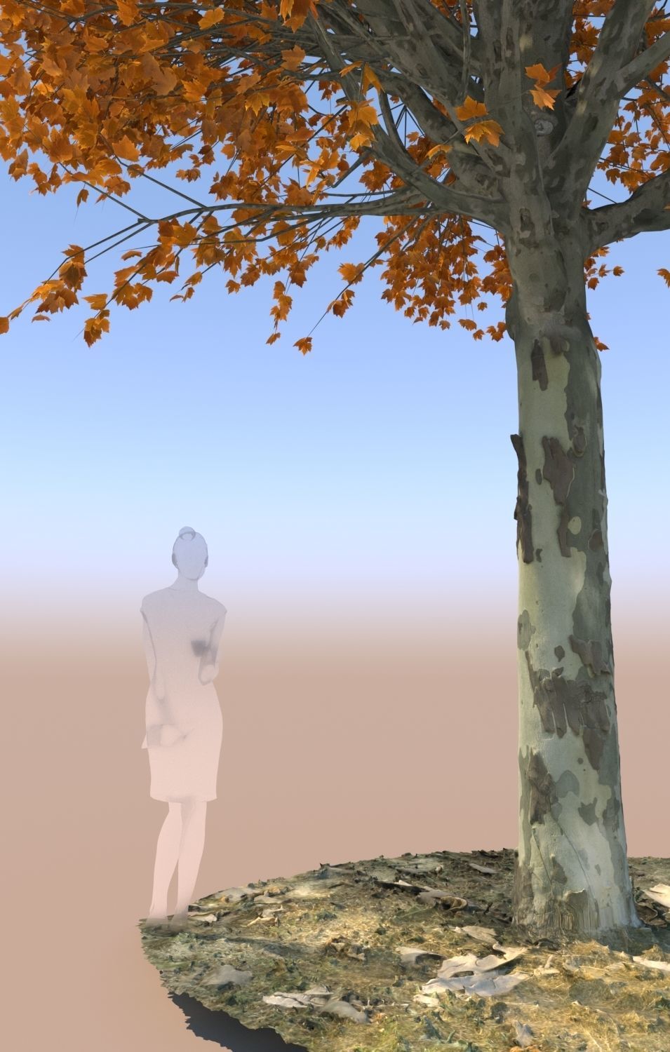 Maple tree autumn acer mature B 3D model_4