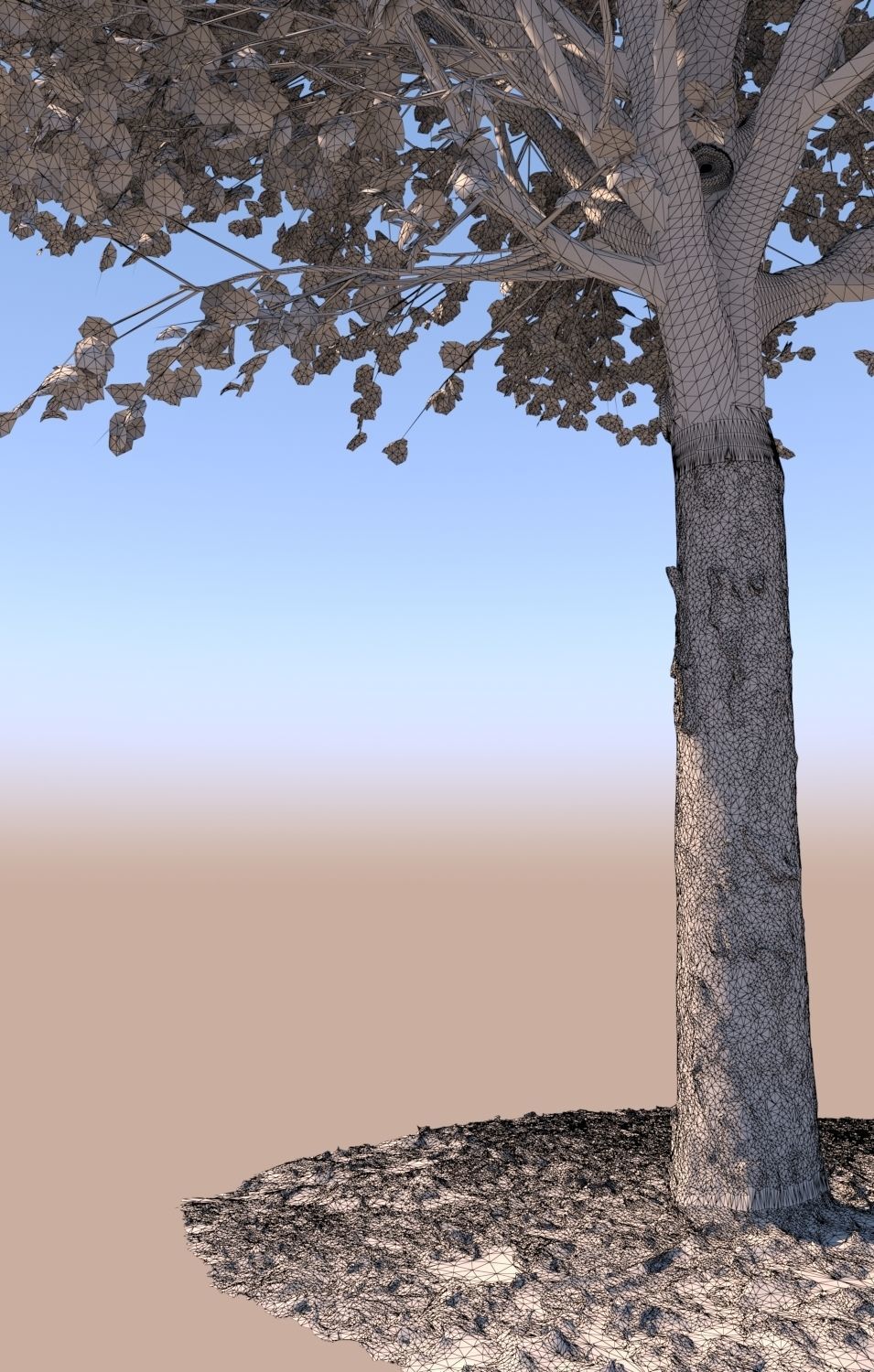 Maple tree autumn acer mature B 3D model_5