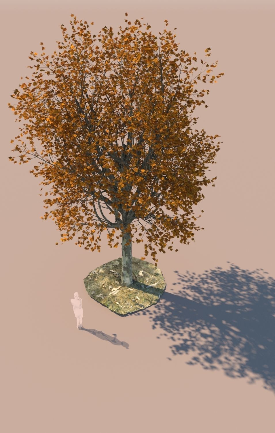 Maple tree autumn acer mature B 3D model_3