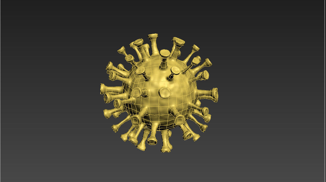 coronavirus 3D model_2