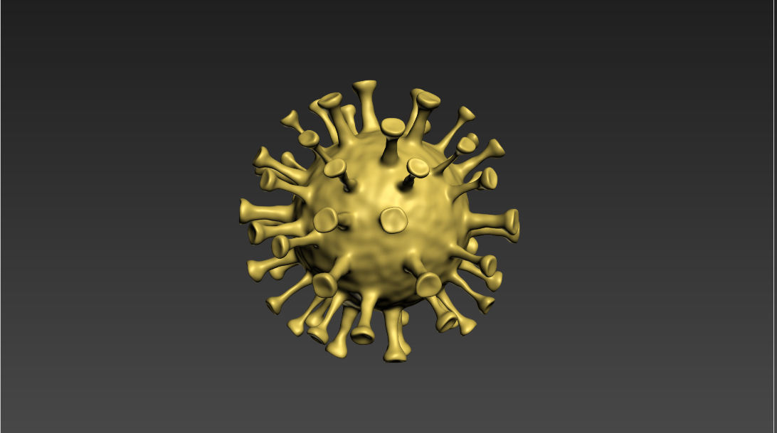 coronavirus 3D model_1