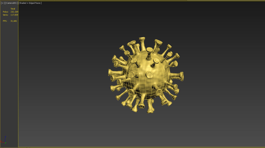 coronavirus 3D model_3