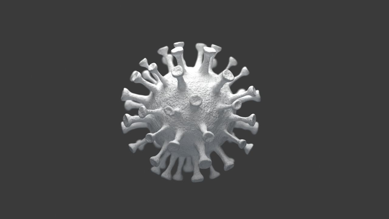 coronavirus 3D model_4